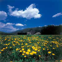 201404kikanshi 4月号表紙