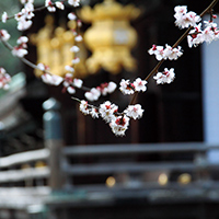 3月号表紙