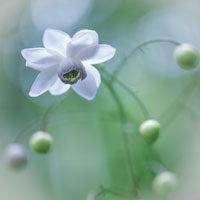 8月号表紙