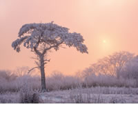 1月号表紙