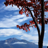 10月号表紙