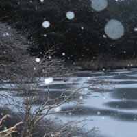 2月号表紙