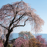 4月号表紙