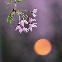 4月号表紙