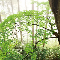 6月号表紙